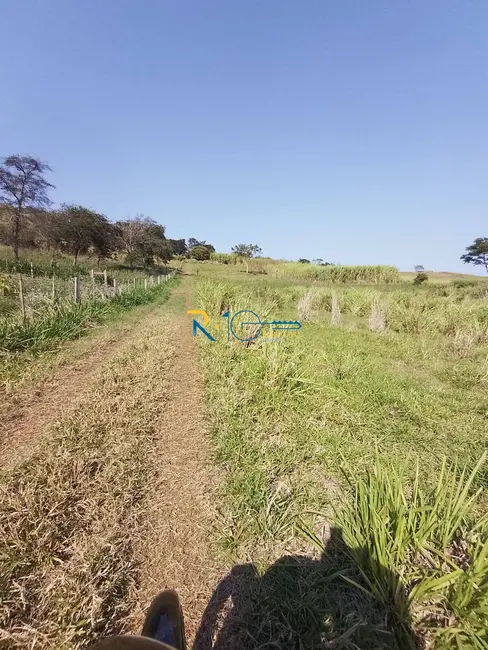 Chácara à venda, 40000m2 em Jataizinho - PR - imagem 22 Foto 22 de Chácara à venda, 40000m2 em Jataizinho - PR