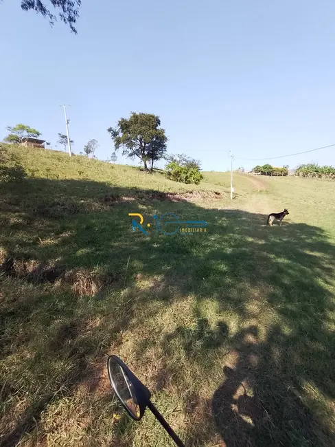 Chácara à venda, 40000m2 em Jataizinho - PR - imagem 10 Foto 10 de Chácara à venda, 40000m2 em Jataizinho - PR