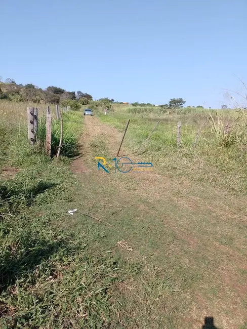 Chácara à venda, 40000m2 em Jataizinho - PR - imagem 17 Foto 17 de Chácara à venda, 40000m2 em Jataizinho - PR