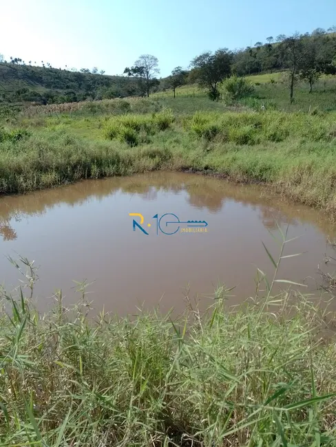 Chácara à venda, 40000m2 em Jataizinho - PR - imagem 3 Foto 3 de Chácara à venda, 40000m2 em Jataizinho - PR