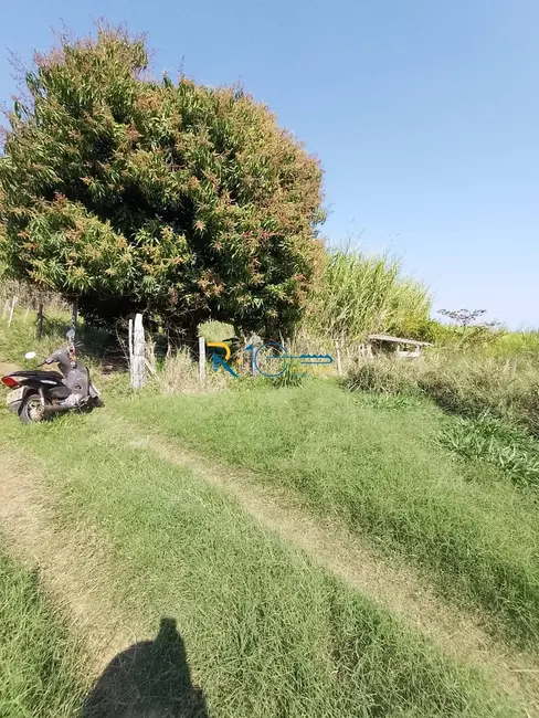 Chácara à venda, 40000m2 em Jataizinho - PR - imagem 7 Foto 7 de Chácara à venda, 40000m2 em Jataizinho - PR