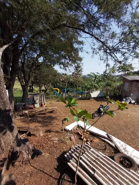 Chácara à venda, 40000m2 em Jataizinho - PR - imagem 12 Foto 12 de Chácara à venda, 40000m2 em Jataizinho - PR