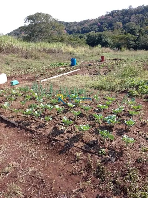 Foto 2 de Chácara à venda, 40000m2 em Jataizinho - PR