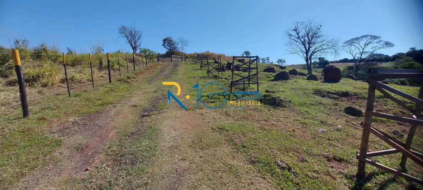 Chácara à venda, 26001m2 em Londrina - PR - imagem 7 Foto 7 de Chácara à venda, 26001m2 em Londrina - PR