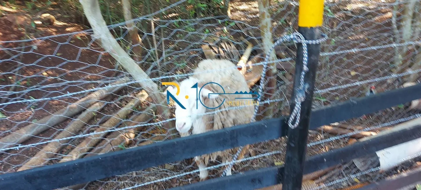 Foto 21 de Chácara à venda, 26001m2 em Londrina - PR