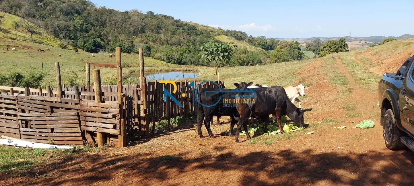 Foto 20 de Chácara à venda, 26001m2 em Londrina - PR