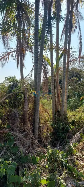 Foto 11 de Sítio / Rancho à venda em Londrina - PR