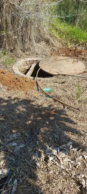 Foto 10 de Sítio / Rancho à venda em Londrina - PR