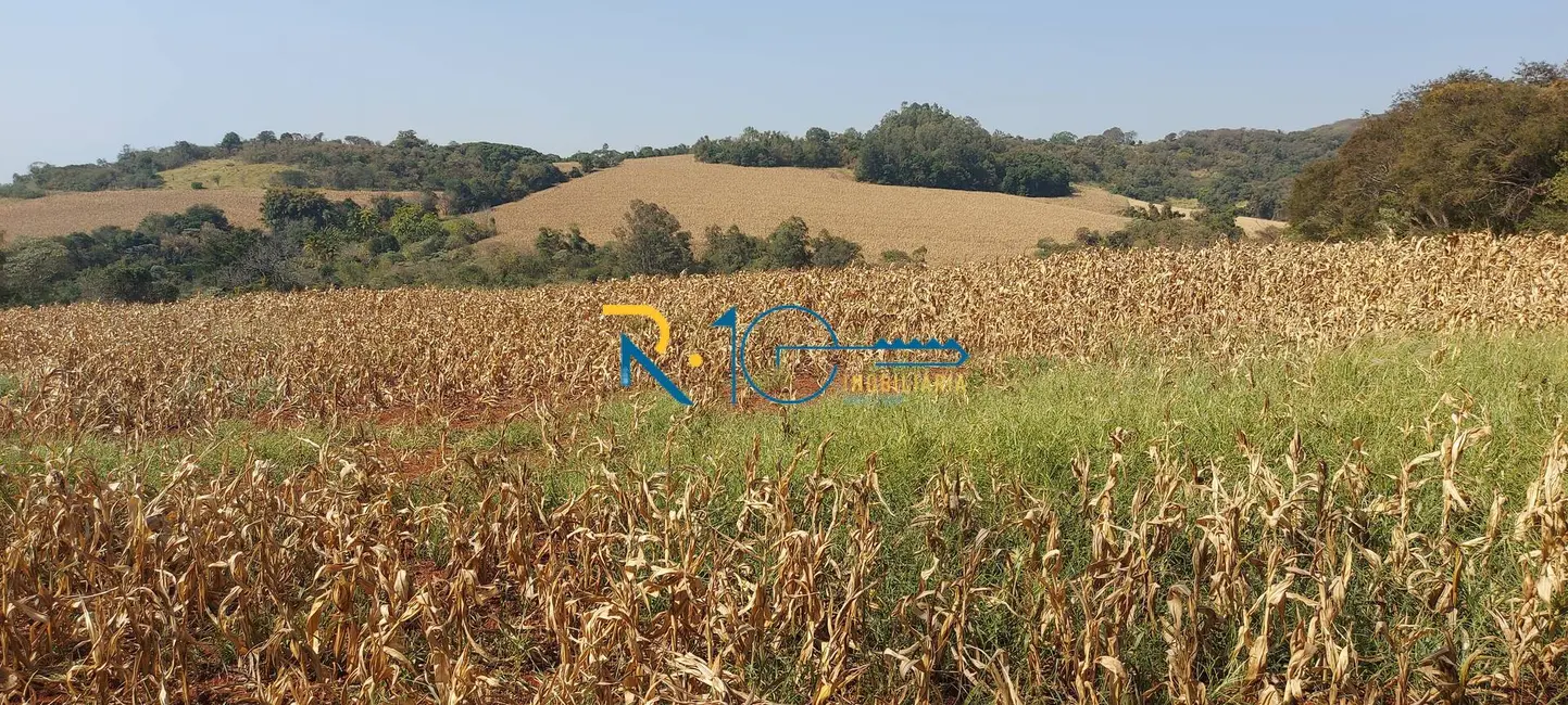 Sítio / Rancho à venda em Londrina - PR - imagem 2 Foto 2 de Sítio / Rancho à venda em Londrina - PR
