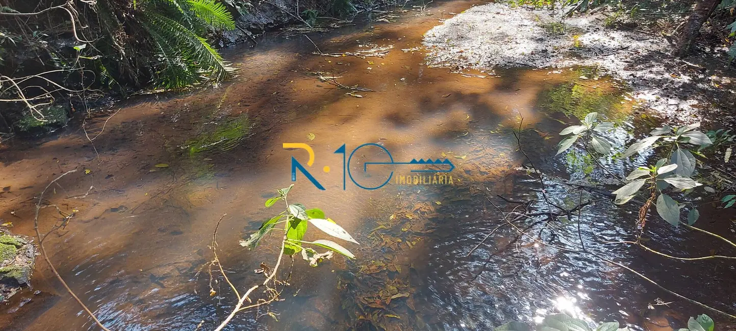 Sítio / Rancho à venda em Londrina - PR - imagem 7 Foto 7 de Sítio / Rancho à venda em Londrina - PR