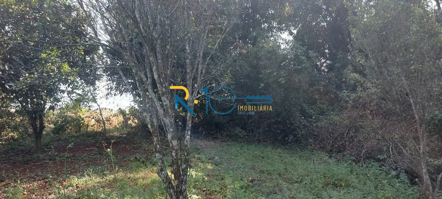 Foto 14 de Sítio / Rancho à venda em Londrina - PR