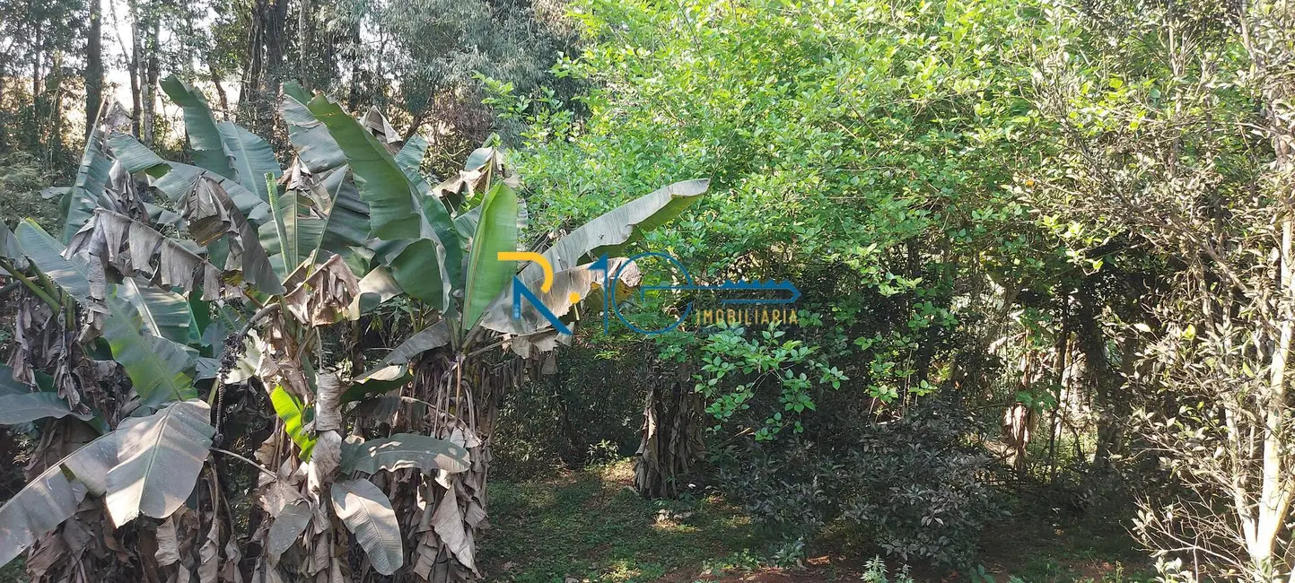 Foto 13 de Sítio / Rancho à venda em Londrina - PR