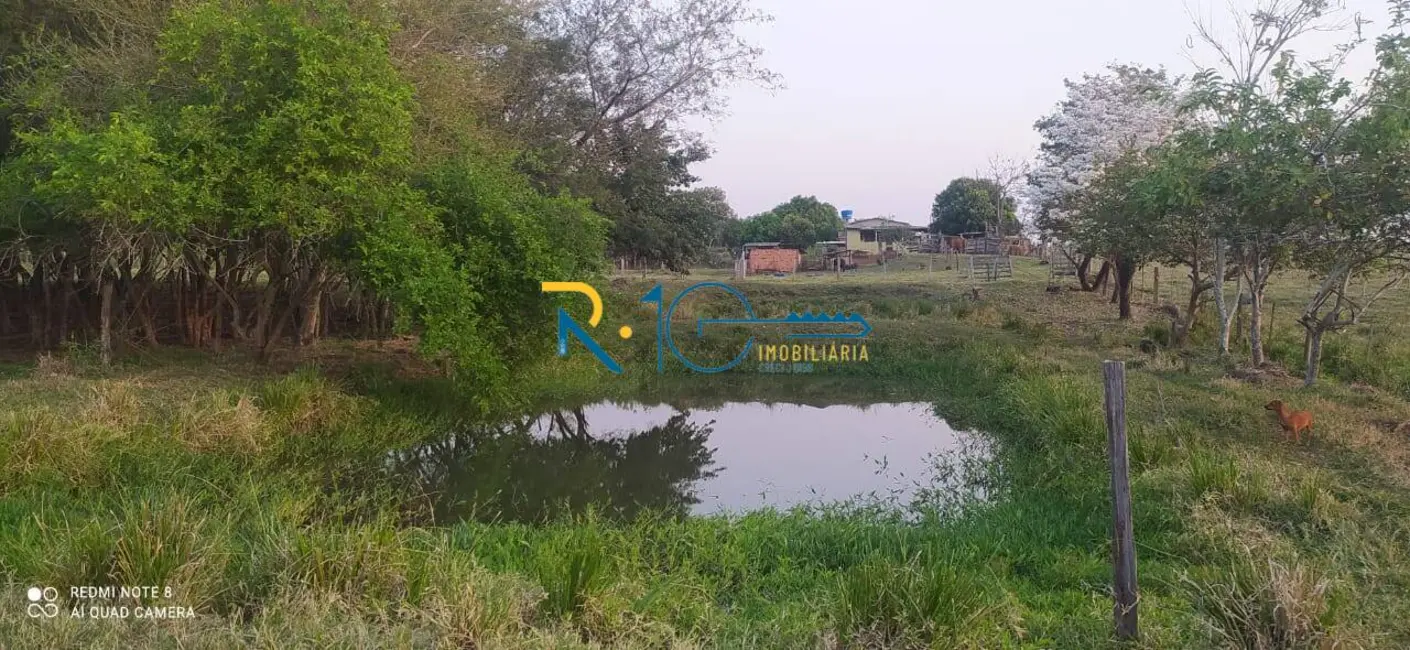 Sítio / Rancho à venda em Jataizinho - PR - imagem 11 Foto 11 de Sítio / Rancho à venda em Jataizinho - PR