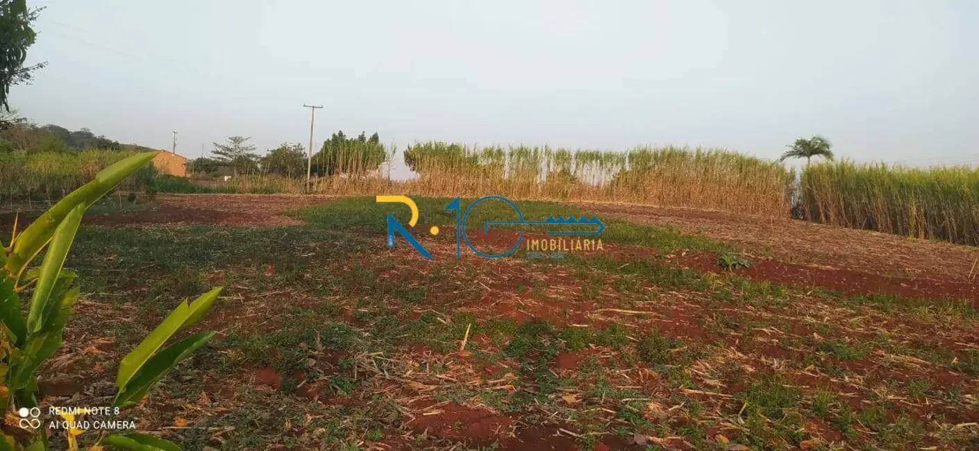 Sítio / Rancho à venda em Jataizinho - PR - imagem 6 Foto 6 de Sítio / Rancho à venda em Jataizinho - PR