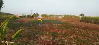 Imagem 6
