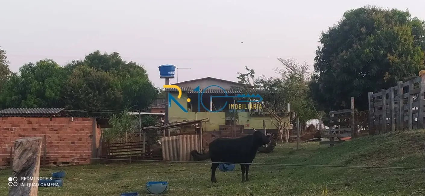 Sítio / Rancho à venda em Jataizinho - PR - imagem 18 Foto 18 de Sítio / Rancho à venda em Jataizinho - PR