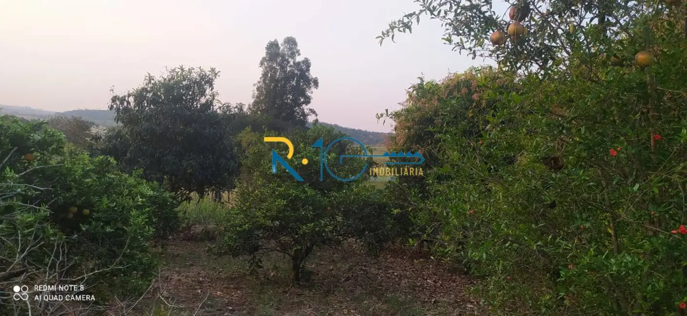 Sítio / Rancho à venda em Jataizinho - PR - imagem 7 Foto 7 de Sítio / Rancho à venda em Jataizinho - PR