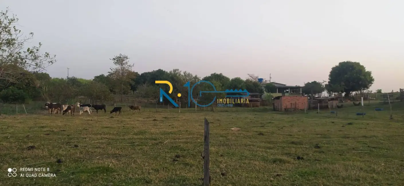 Sítio / Rancho à venda em Jataizinho - PR - imagem 4 Foto 4 de Sítio / Rancho à venda em Jataizinho - PR