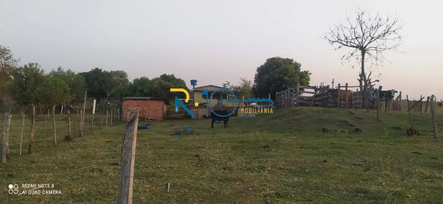 Sítio / Rancho à venda em Jataizinho - PR - imagem 19 Foto 19 de Sítio / Rancho à venda em Jataizinho - PR