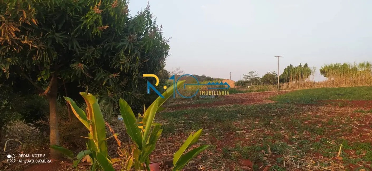 Sítio / Rancho à venda em Jataizinho - PR - imagem 3 Foto 3 de Sítio / Rancho à venda em Jataizinho - PR