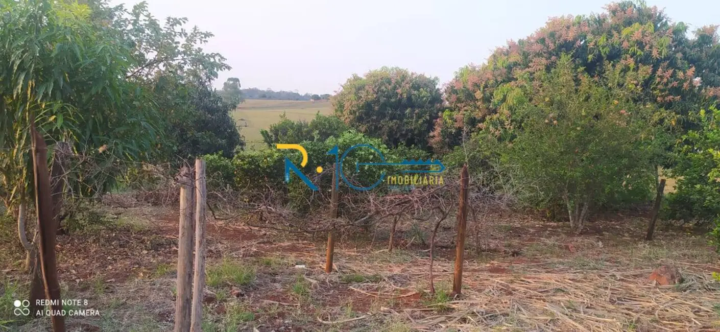 Sítio / Rancho à venda em Jataizinho - PR - imagem 8 Foto 8 de Sítio / Rancho à venda em Jataizinho - PR
