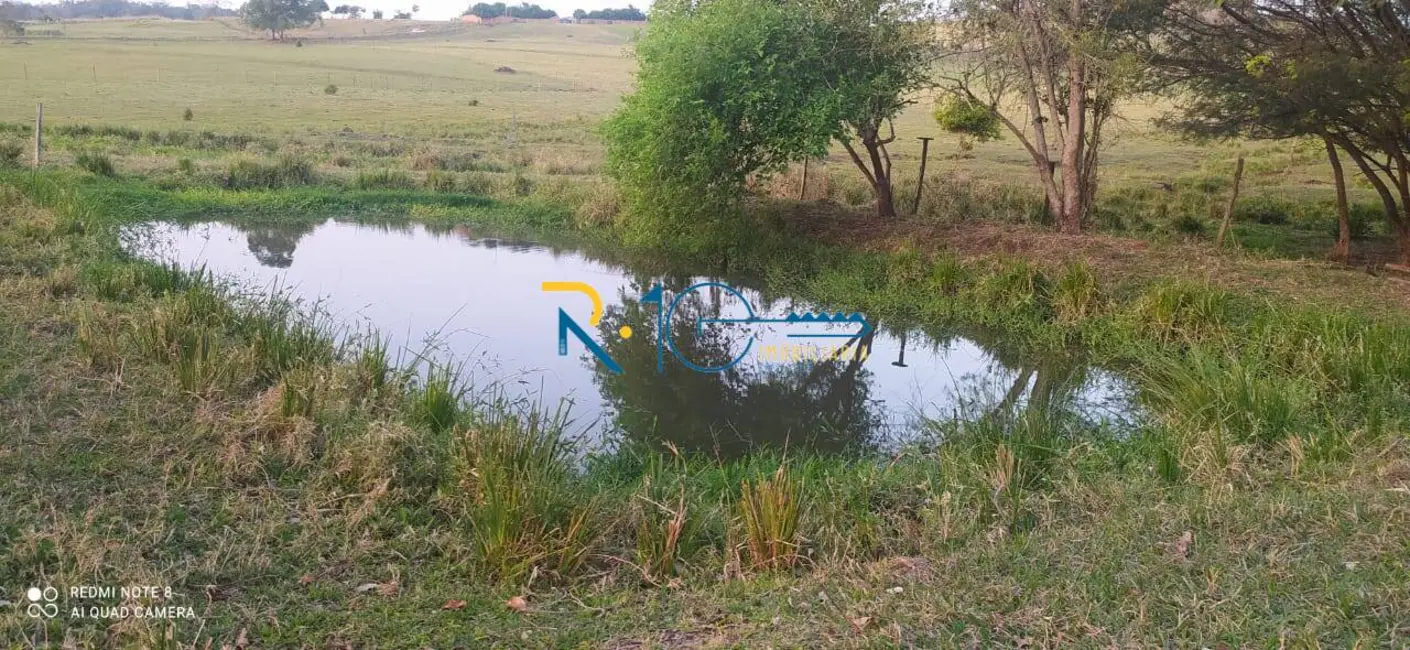Sítio / Rancho à venda em Jataizinho - PR - imagem 12 Foto 12 de Sítio / Rancho à venda em Jataizinho - PR
