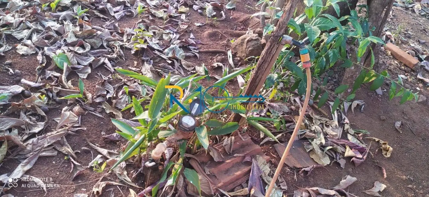 Sítio / Rancho à venda em Jataizinho - PR - imagem 16 Foto 16 de Sítio / Rancho à venda em Jataizinho - PR