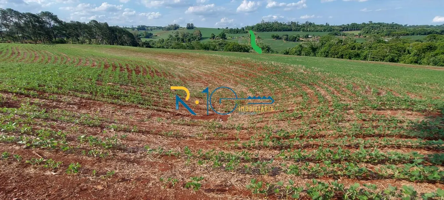 Sítio / Rancho à venda em Gleba Fazenda Palhano, Londrina - PR - imagem 5 Foto 5 de Sítio / Rancho à venda em Gleba Fazenda Palhano, Londrina - PR