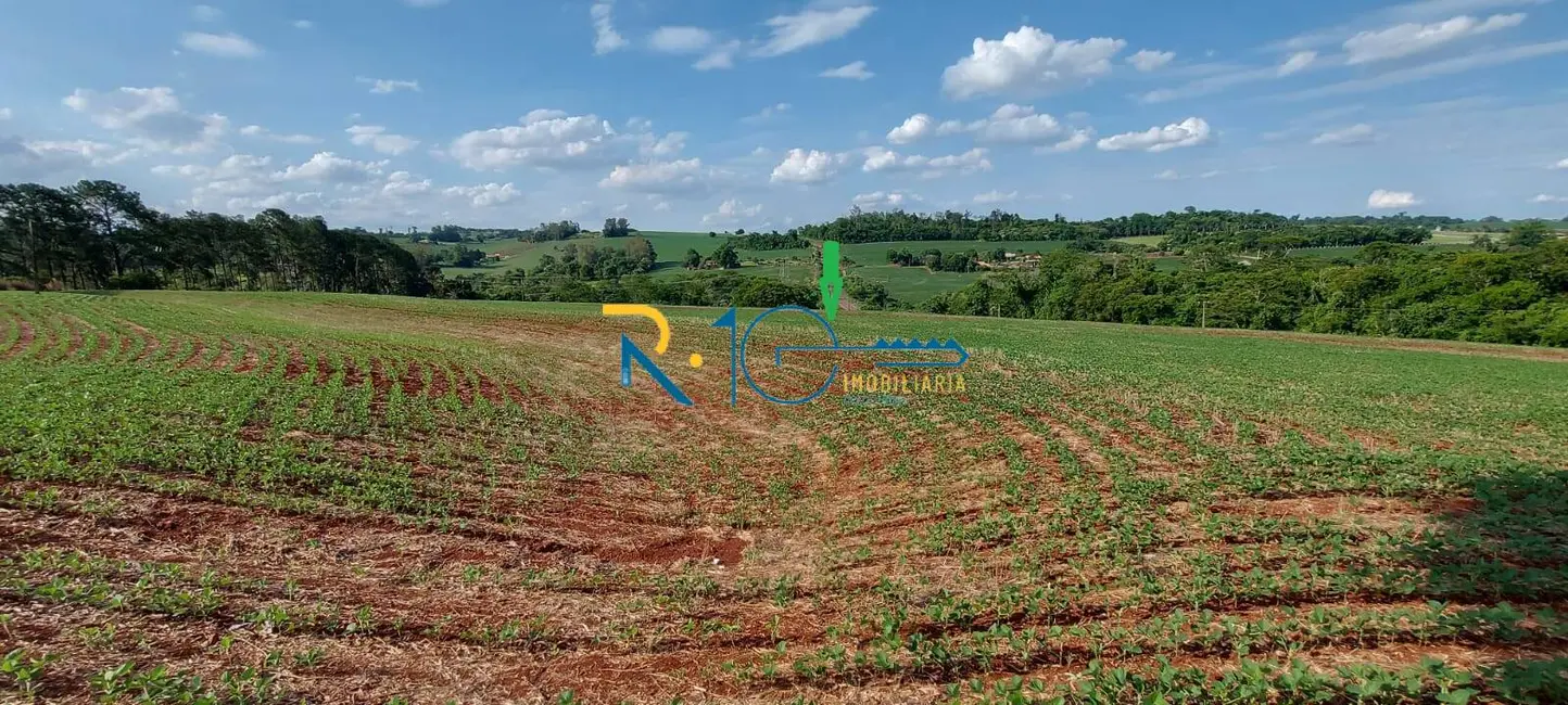 Sítio / Rancho à venda em Gleba Fazenda Palhano, Londrina - PR - imagem 3 Foto 3 de Sítio / Rancho à venda em Gleba Fazenda Palhano, Londrina - PR