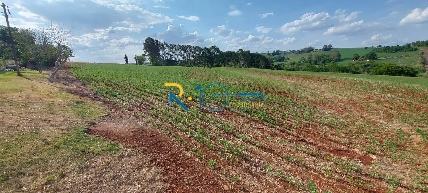 Foto 1 de Sítio / Rancho à venda em Gleba Fazenda Palhano, Londrina - PR