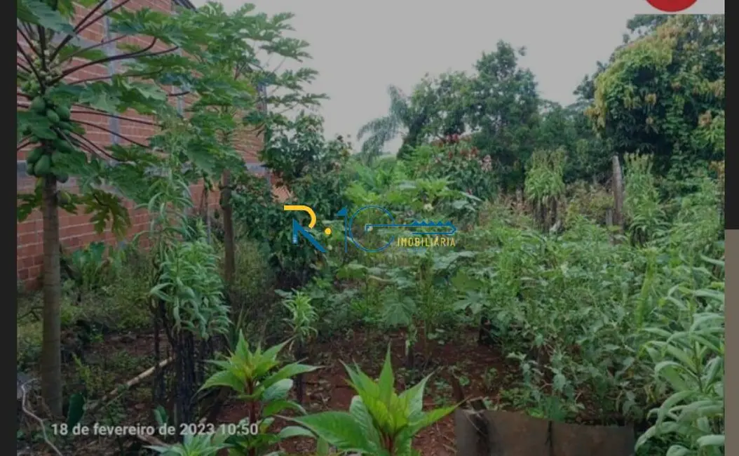 Casa à venda em Londrina - PR - imagem 6 Foto 6 de Casa à venda em Londrina - PR