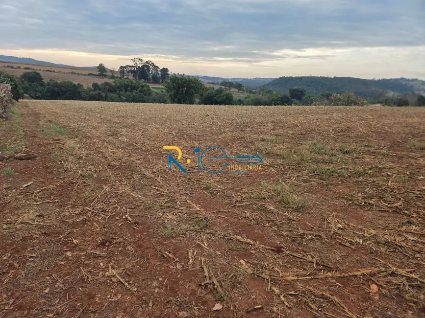 Sítio / Rancho à venda, 2607m2 em Londrina - PR - imagem 6 Foto 6 de Sítio / Rancho à venda, 2607m2 em Londrina - PR
