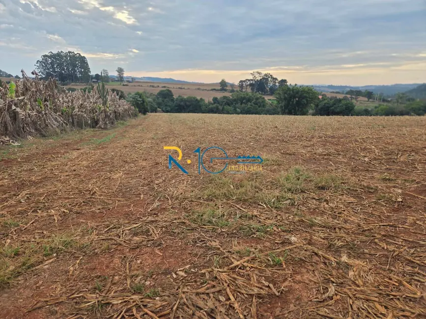 Sítio / Rancho à venda, 2607m2 em Londrina - PR - imagem 7 Foto 7 de Sítio / Rancho à venda, 2607m2 em Londrina - PR