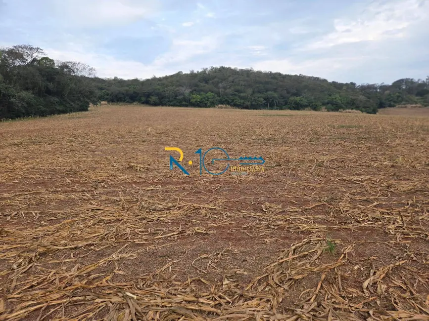 Sítio / Rancho à venda, 2607m2 em Londrina - PR - imagem 5 Foto 5 de Sítio / Rancho à venda, 2607m2 em Londrina - PR