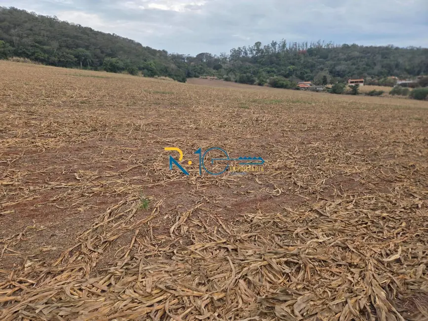 Sítio / Rancho à venda, 2607m2 em Londrina - PR - imagem 3 Foto 3 de Sítio / Rancho à venda, 2607m2 em Londrina - PR