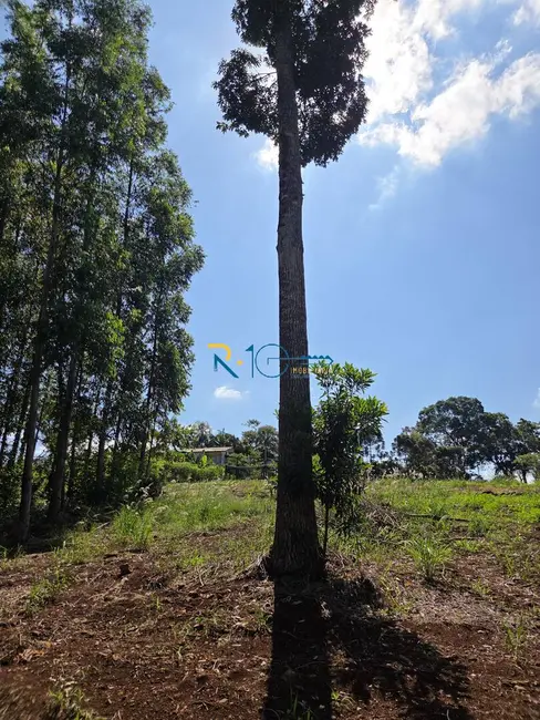 Foto 23 de Chácara à venda, 46596m2 em Chácaras São Miguel, Londrina - PR