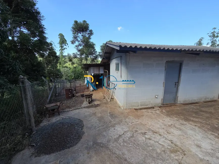 Foto 15 de Chácara à venda, 46596m2 em Chácaras São Miguel, Londrina - PR