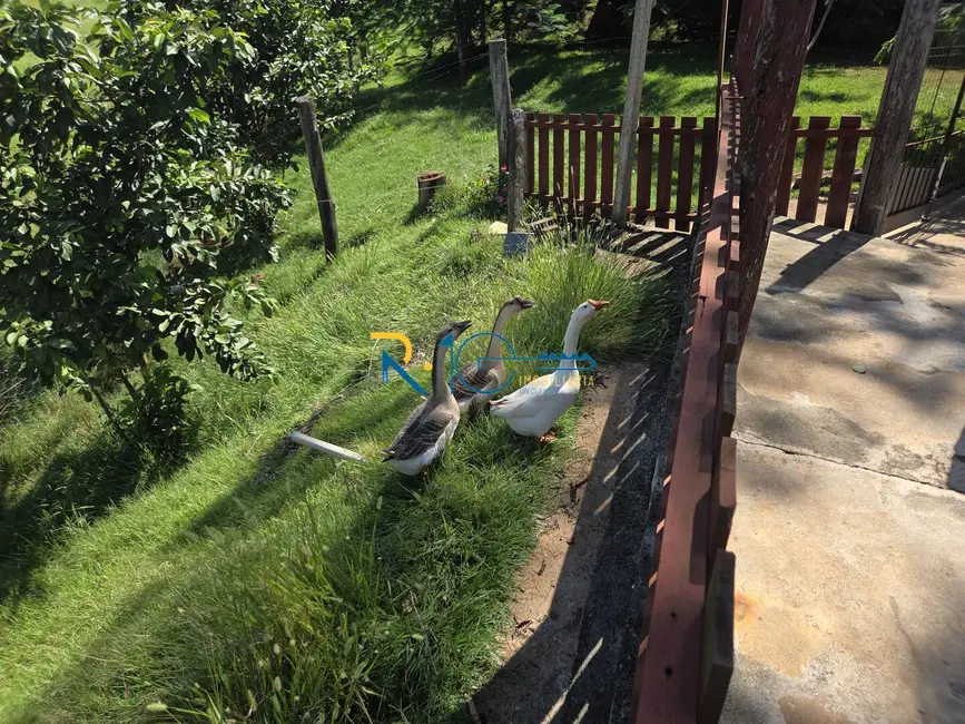 Chácara à venda, 46596m2 em Chácaras São Miguel, Londrina - PR - imagem 6 Foto 6 de Chácara à venda, 46596m2 em Chácaras São Miguel, Londrina - PR