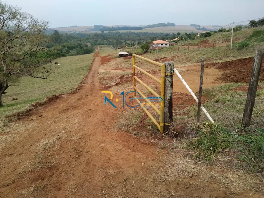 Chácara à venda, 5000m2 em Londrina - PR - imagem 6 Foto 6 de Chácara à venda, 5000m2 em Londrina - PR