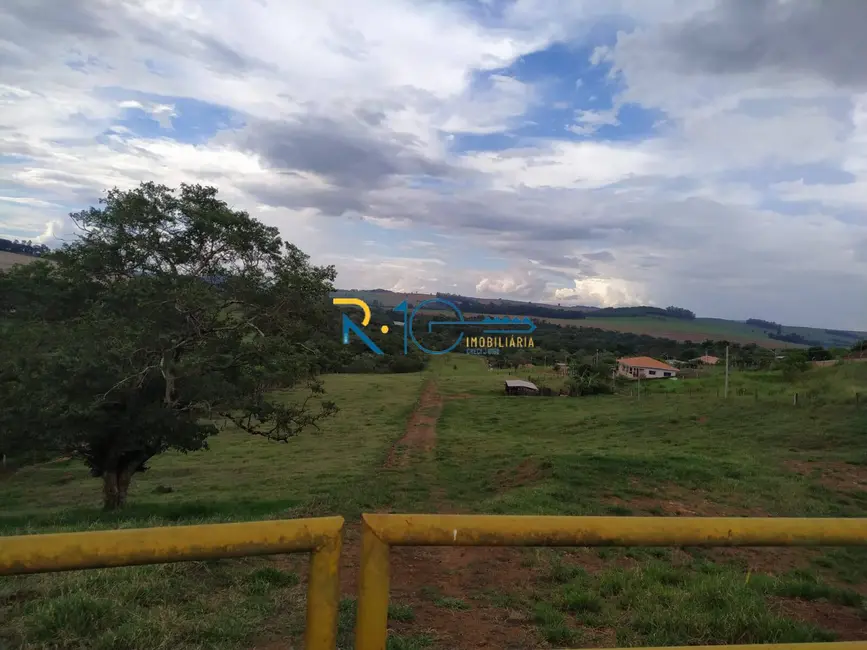 Chácara à venda, 5000m2 em Londrina - PR - imagem 7 Foto 7 de Chácara à venda, 5000m2 em Londrina - PR