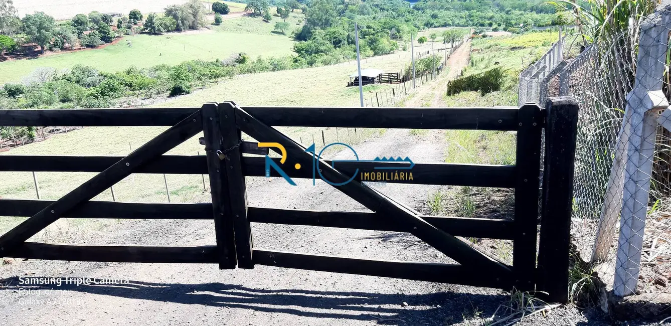 Chácara à venda, 2260m2 em Londrina - PR - imagem 6 Foto 6 de Chácara à venda, 2260m2 em Londrina - PR