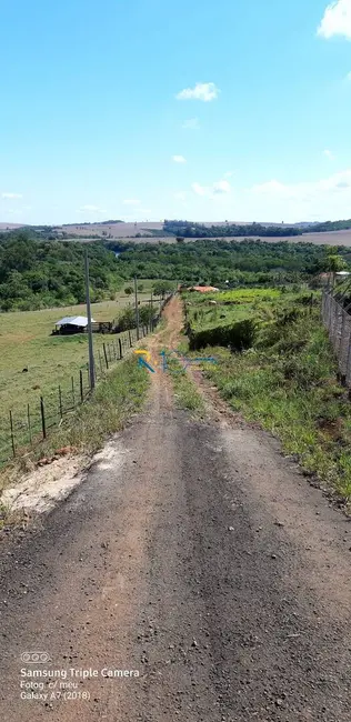 Chácara à venda, 2260m2 em Londrina - PR - imagem 5 Foto 5 de Chácara à venda, 2260m2 em Londrina - PR