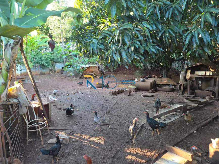 Chácara com 4 quartos à venda, 350m2 em Londrina - PR - imagem 6 Foto 6 de Chácara com 4 quartos à venda, 350m2 em Londrina - PR