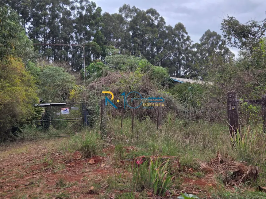 Chácara à venda em Londrina - PR - imagem 3 Foto 3 de Chácara à venda em Londrina - PR