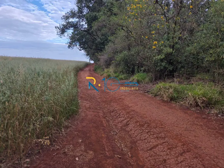 Chácara à venda em Londrina - PR - imagem 4 Foto 4 de Chácara à venda em Londrina - PR