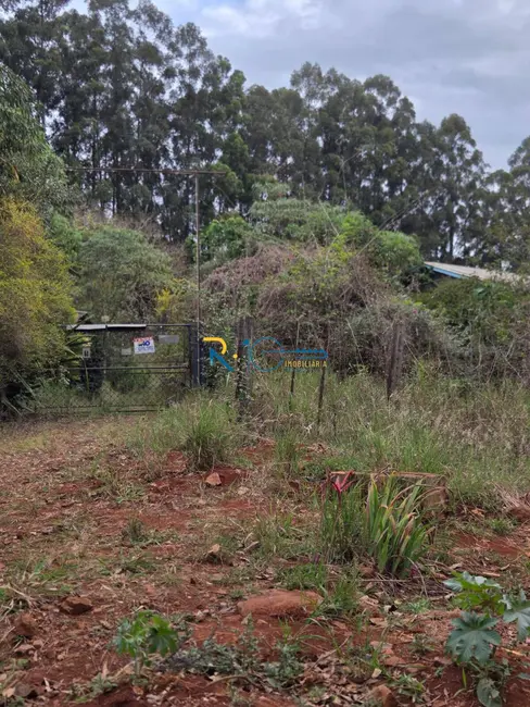 Foto 2 de Chácara à venda em Londrina - PR