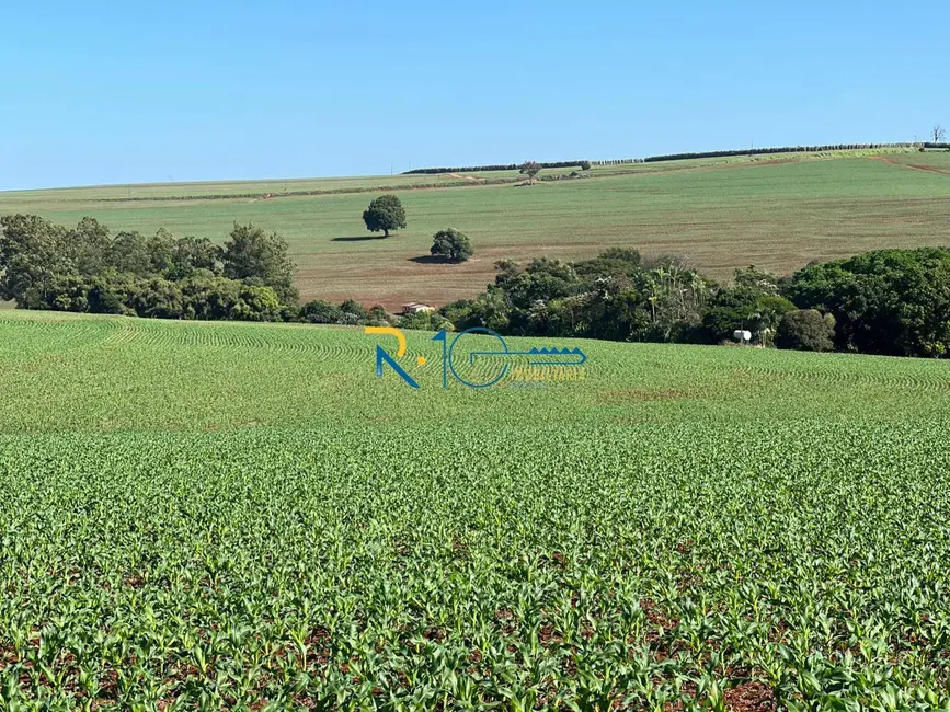 Foto 1 de Sítio / Rancho à venda, 10m2 em Sertanopolis - PR