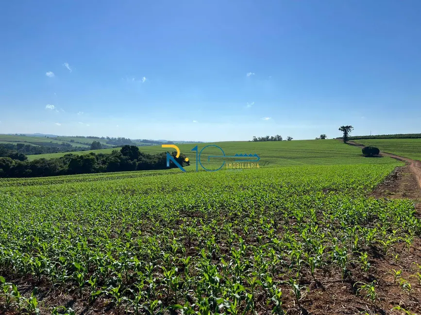 Foto 3 de Sítio / Rancho à venda, 17m2 em Sertanopolis - PR