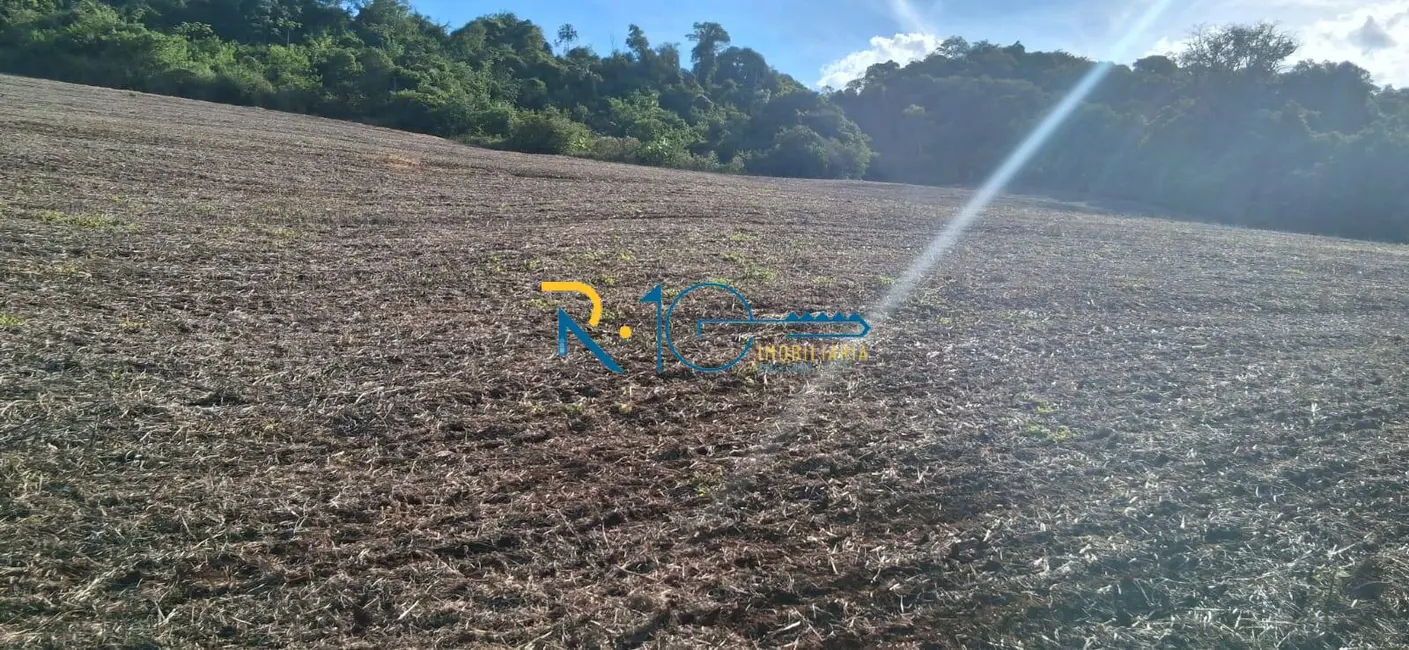 Foto 10 de Chácara à venda em Londrina - PR