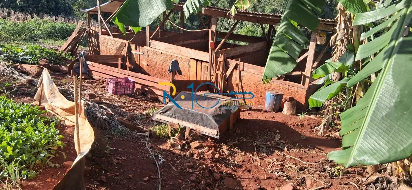 Chácara à venda em Londrina - PR - imagem 8 Foto 8 de Chácara à venda em Londrina - PR